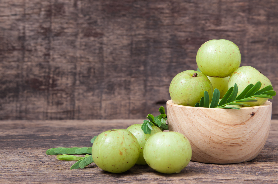 Digestive Health