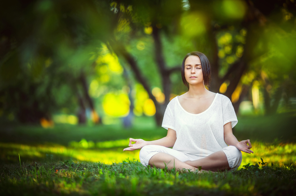 Ayurveda & Well-being