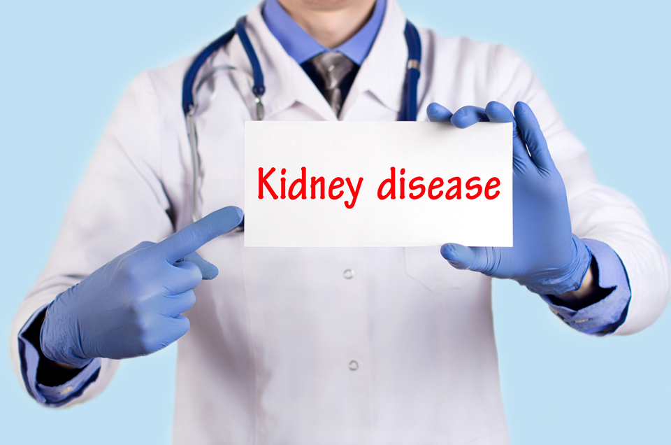 4 Ayurvedic Home Remedies that Make the Kidneys Strong & Prevent Renal Failure