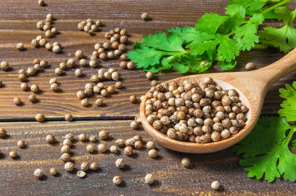 Ayurveda & Well-being