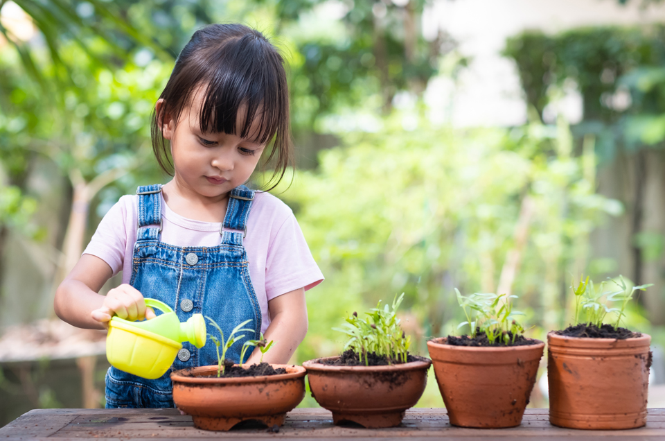 Discipline Makes Champions - How to Teach Your Kids Self-Discipline