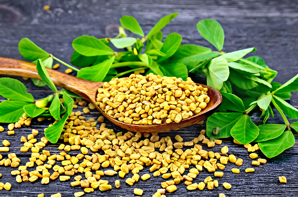 Why Fenugreek Seeds are Good for Diabetes?