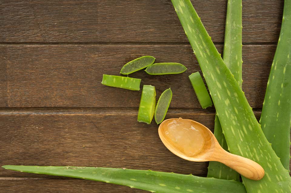 Ayurveda & Well-being