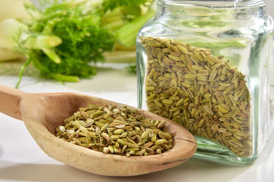 Ayurveda & Well-being