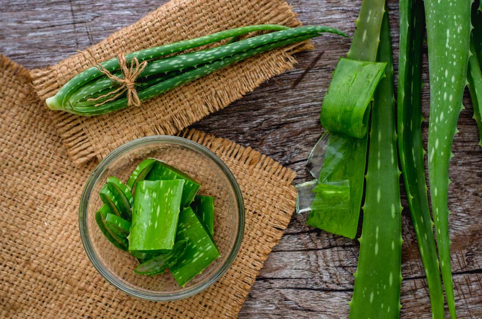 Benefits of Aloe Vera for Skin, Digestion & Wellness