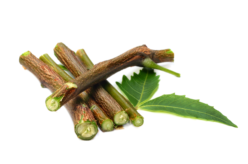 5 Ayurvedic Datoon (Twigs) For Healthy Teeth and Gums