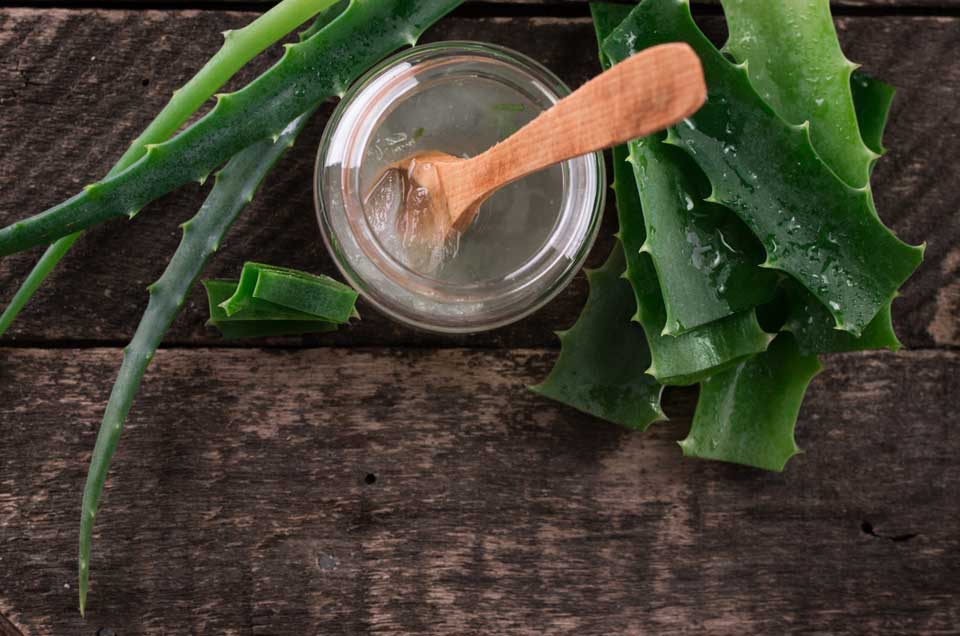 Ayurveda & Well-being