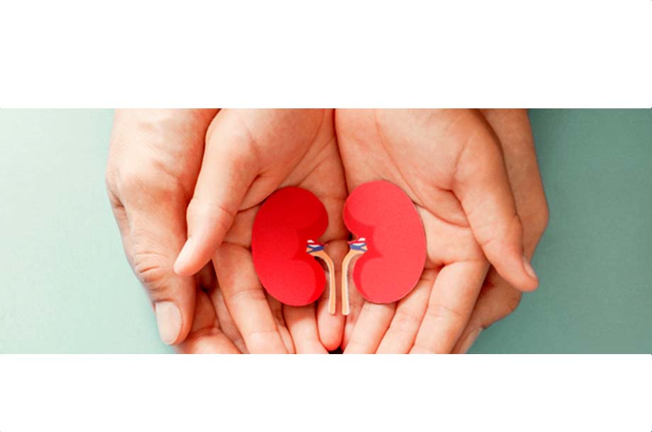 Exploring Ayurvedic Treatment for Kidney Failure