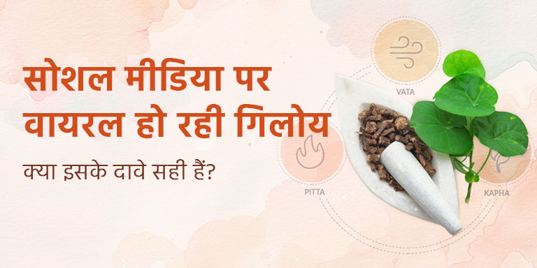 सोशल मीडिया पर वायरल हो रही गिलोय: क्या इसके दावे सही हैं?