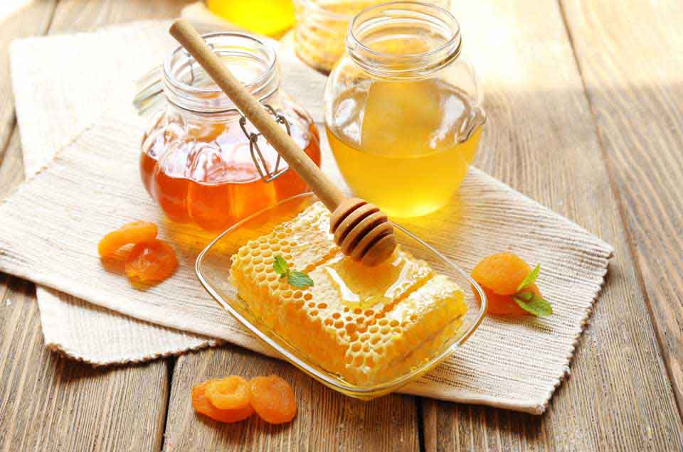 Ayurveda & Well-being