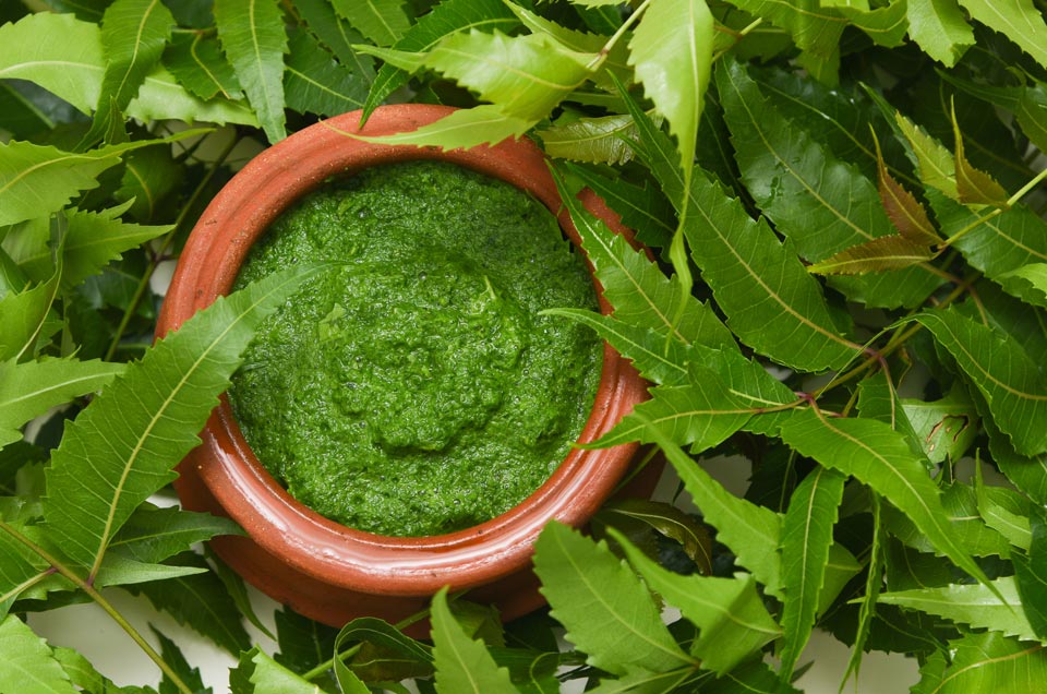 2 Easy Ways to Nourish Your Hair With the Goodness of Neem