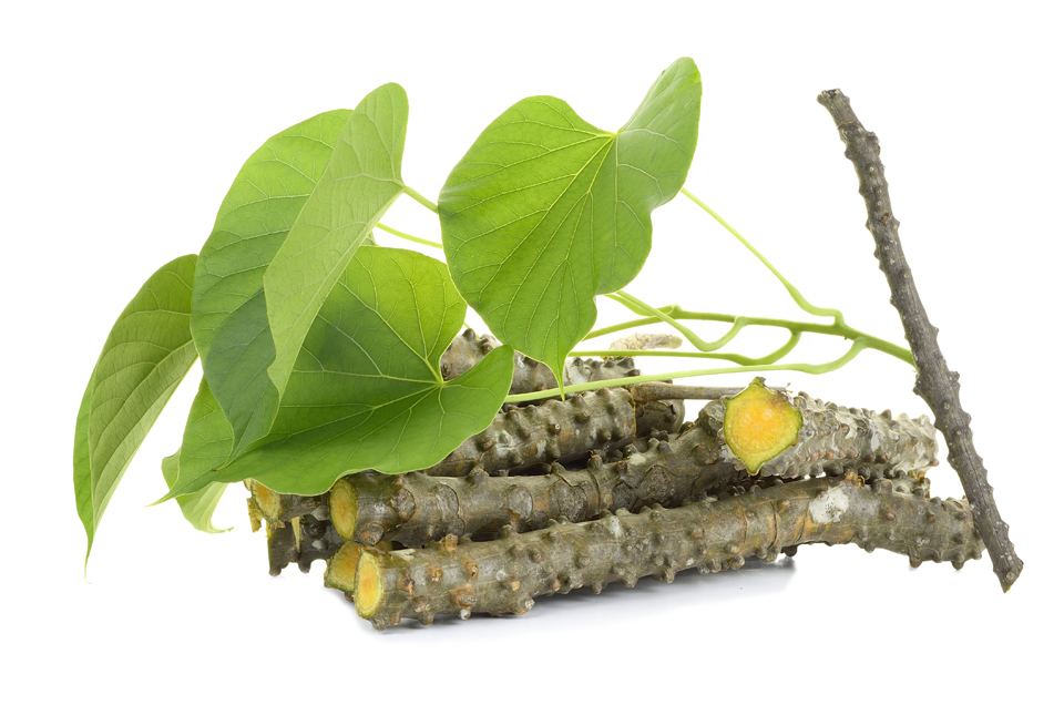 Health & Wellness Products