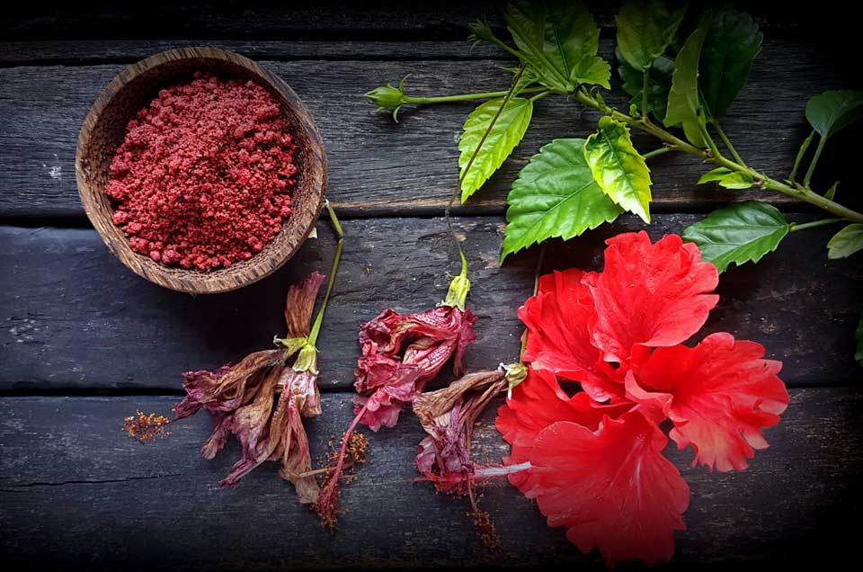 Ayurveda & Well-being