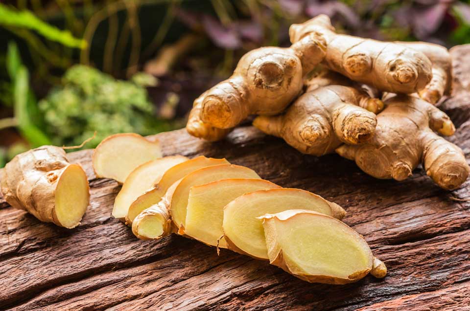 Ginger The Healing Spice Of Ayurveda