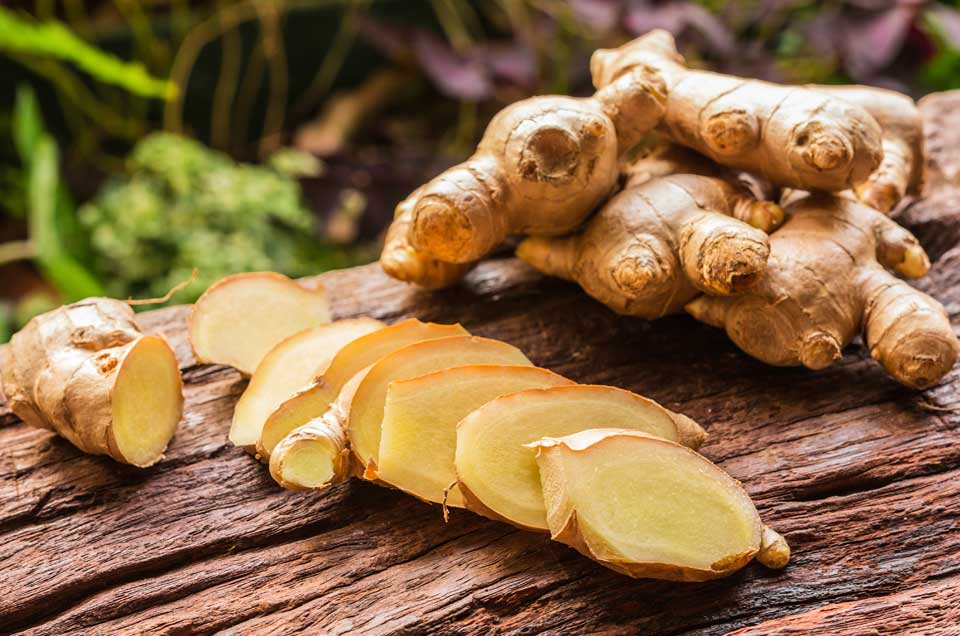 Ayurveda & Well-being