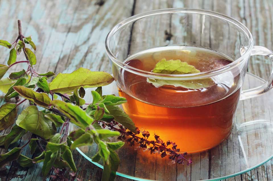 Ayurveda & Well-being