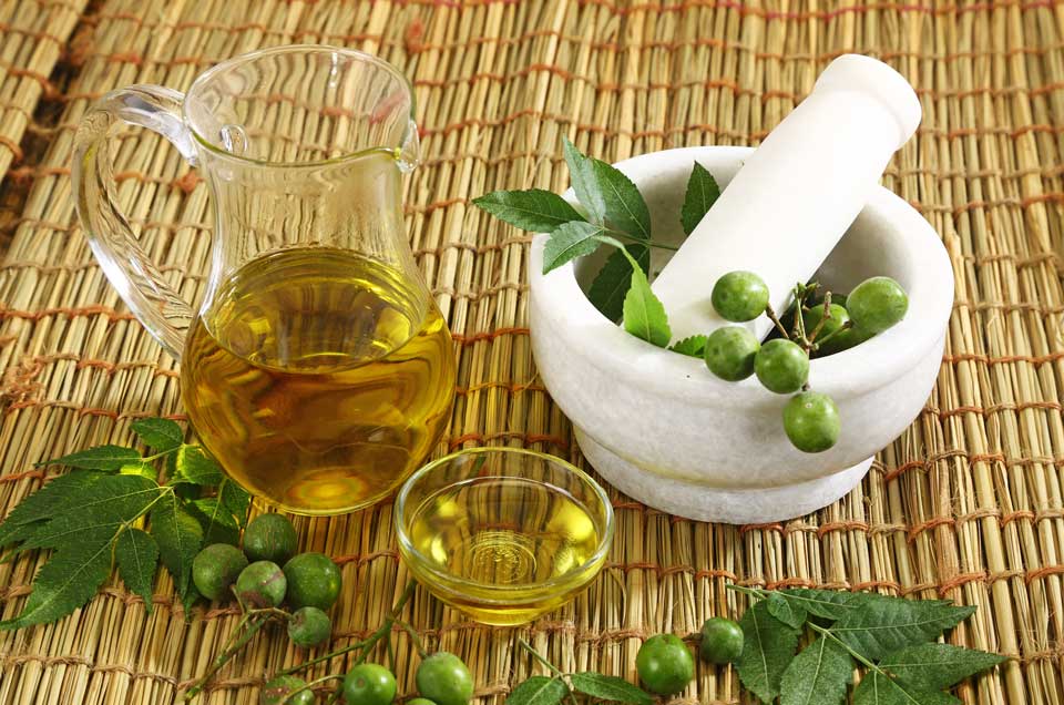 5 Reasons Why You Should Use Neem Oil in Your Everyday Routine