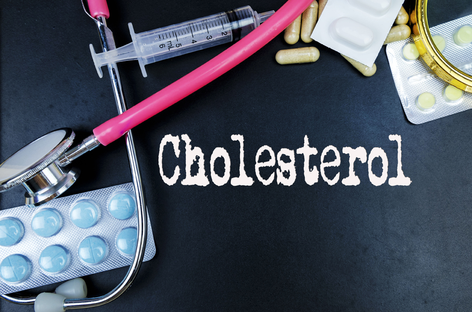 Diet Management - Ayurveda's Take On Spiking Cholesterol Levels