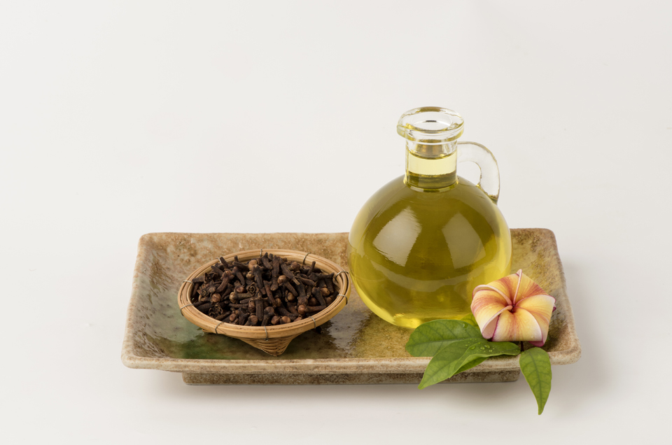 Ayurveda & Well-being