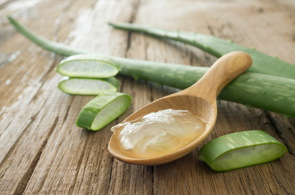 Aloe Vera - Nature?s Gel for Gorgeous Skin