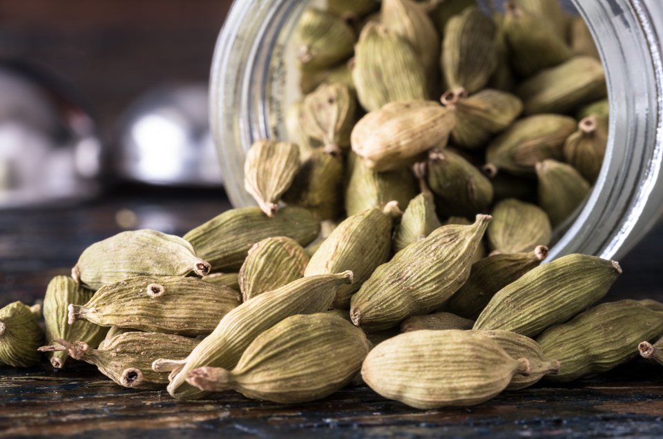Ayurveda & Well-being