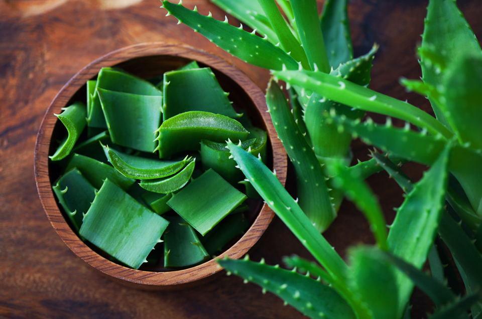 Aloe Vera Is a Good Remedy to Keep Away Joint Pain