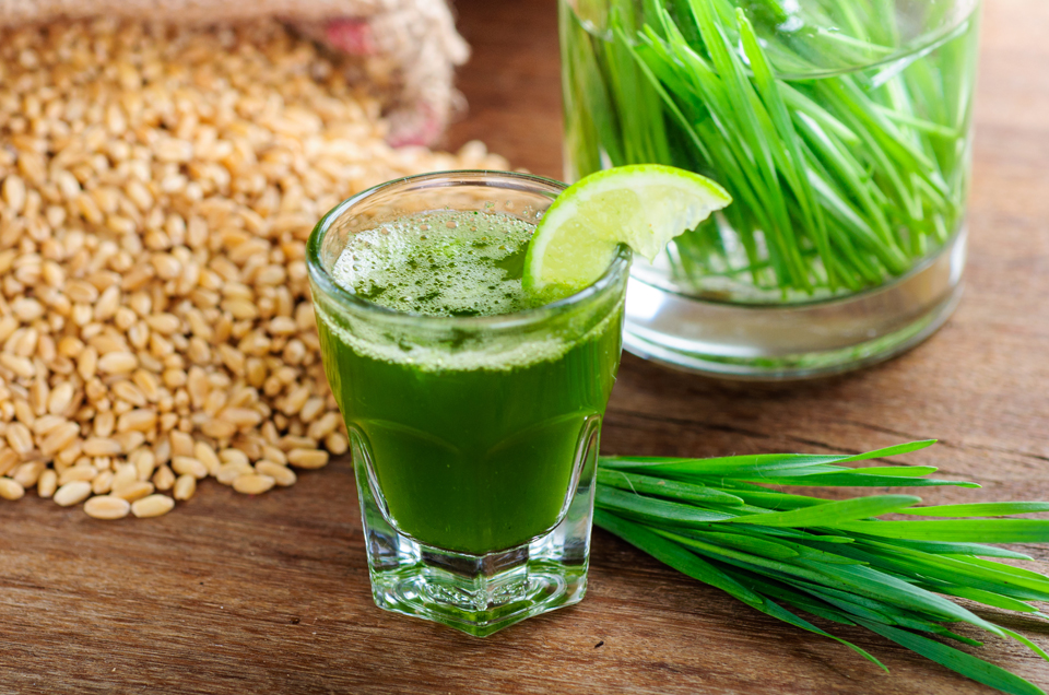 Ayurveda & Well-being