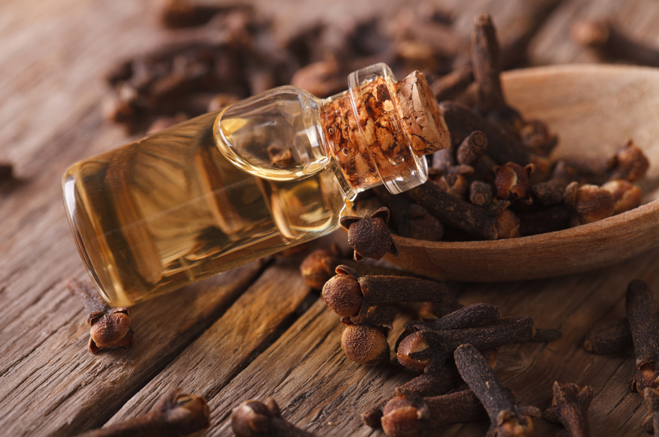 Ayurveda & Well-being