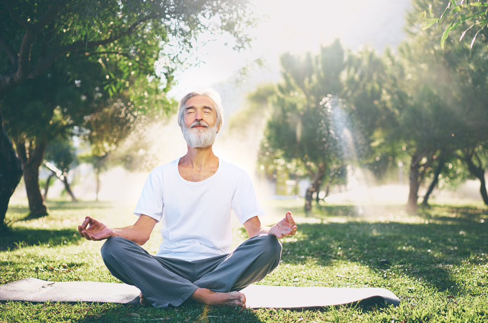 Ayurveda & Well-being