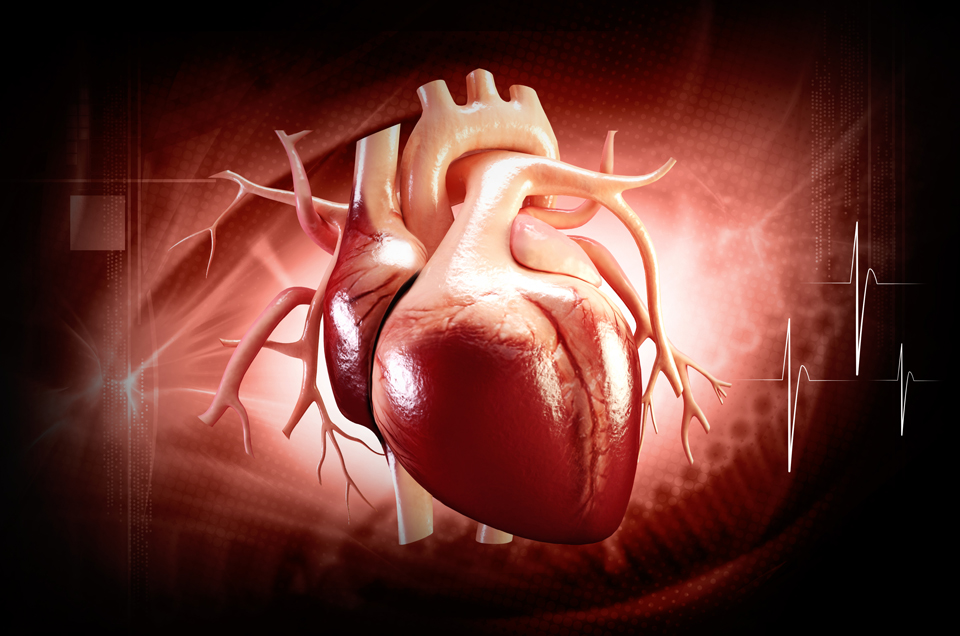 Heart Health