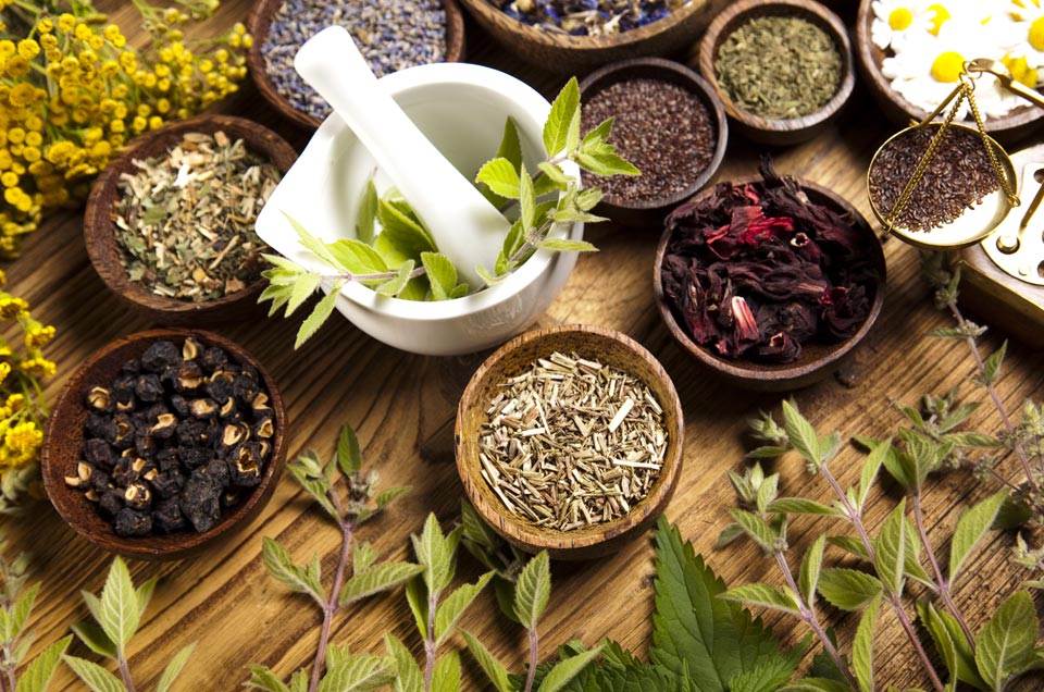 Ayurveda & Well-being