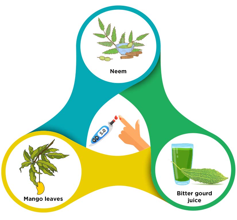 Ayurvedic herbs that help to regulate blood sugar in natural ways