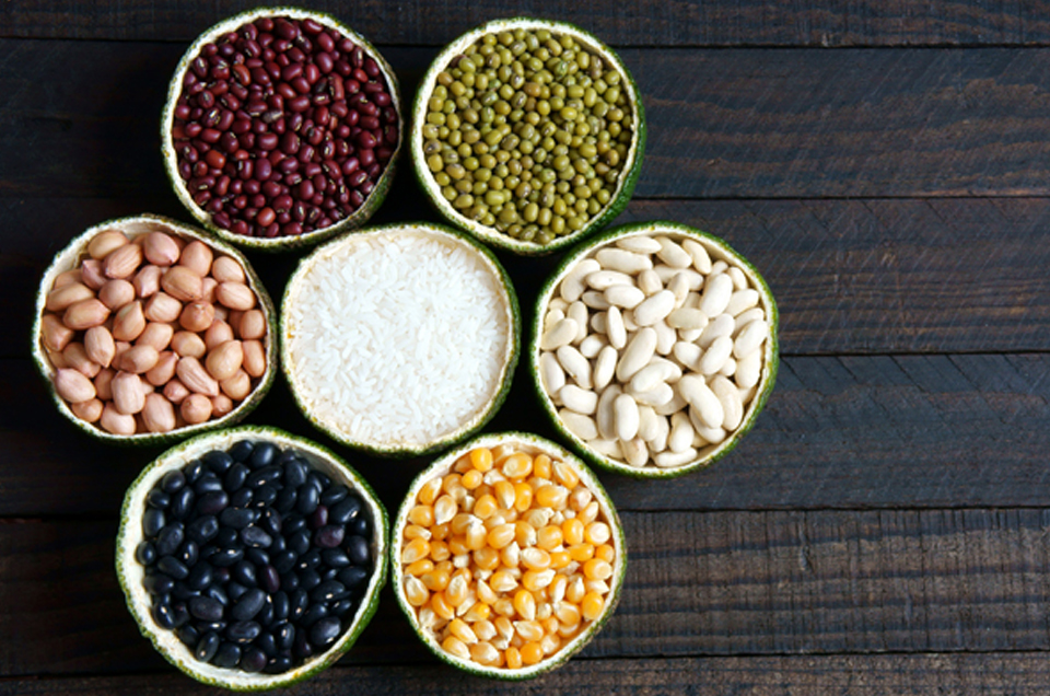 Digestive Health