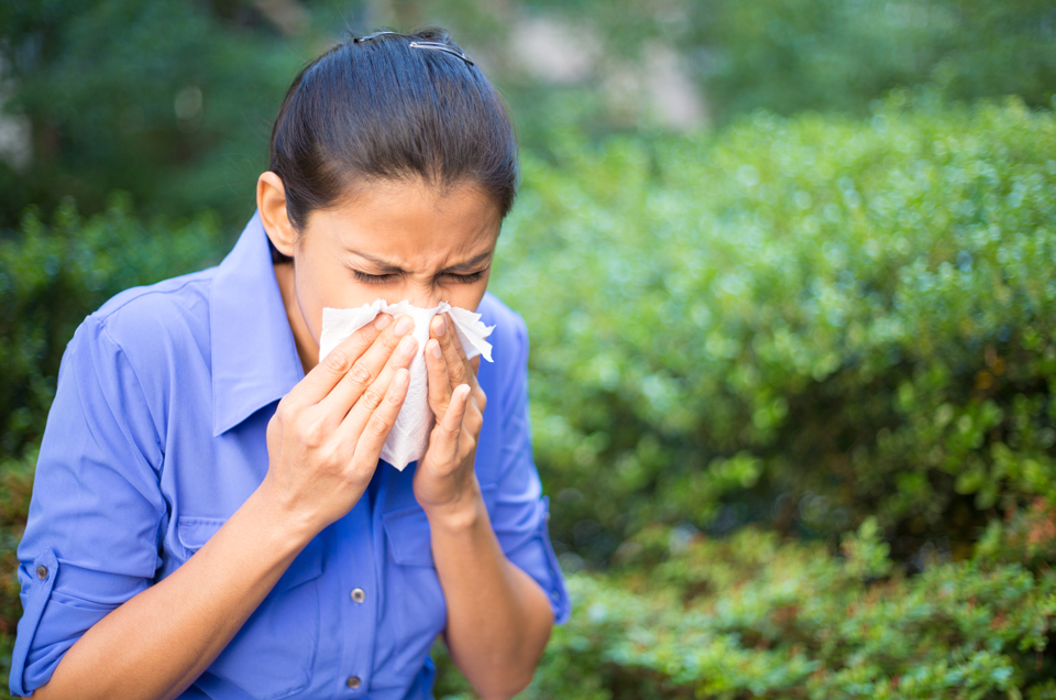 Coping with Seasonal Allergic Rhinitis (Hay Fever)