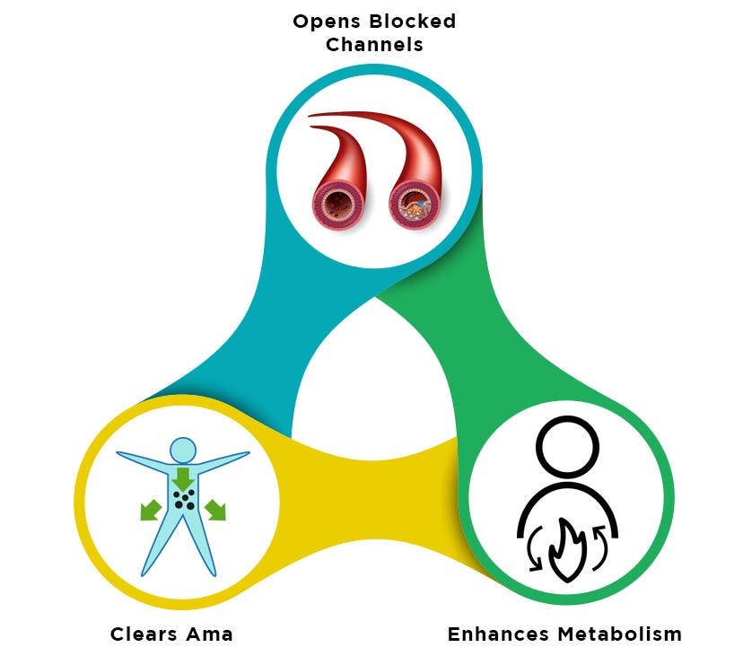 3 Reasons Why Ayurveda Works Best in Obesity