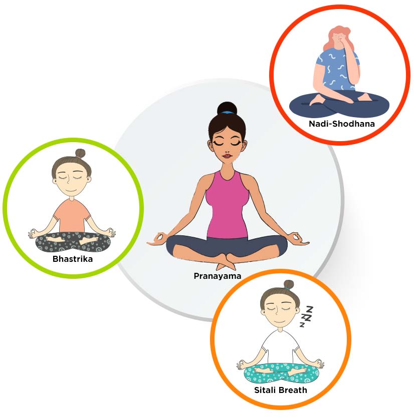 Vata pitta and kapha doshas yoga ayurveda Vector Image