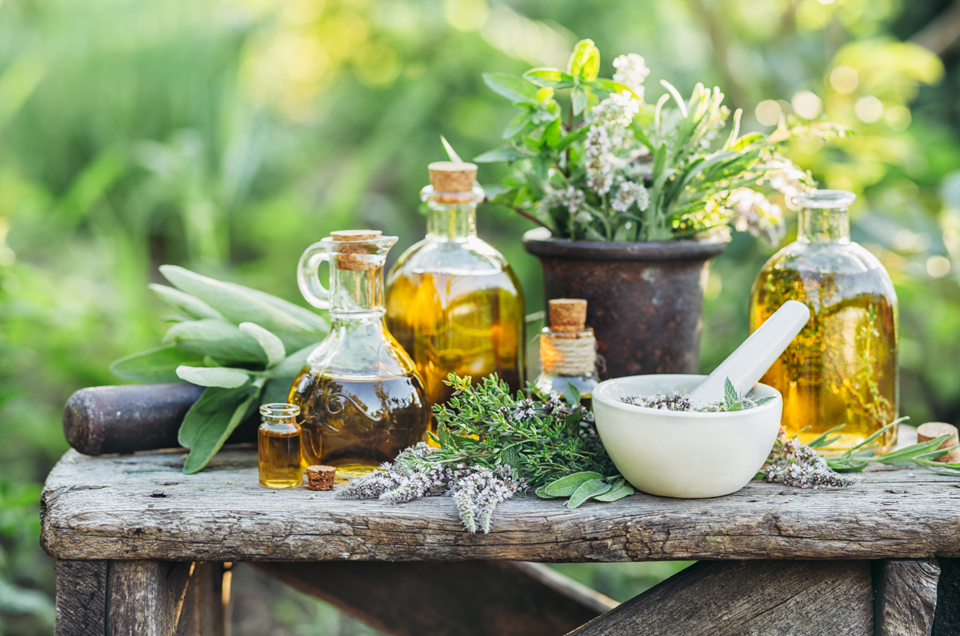 5 Herbs for Mental Clarity and Relaxation