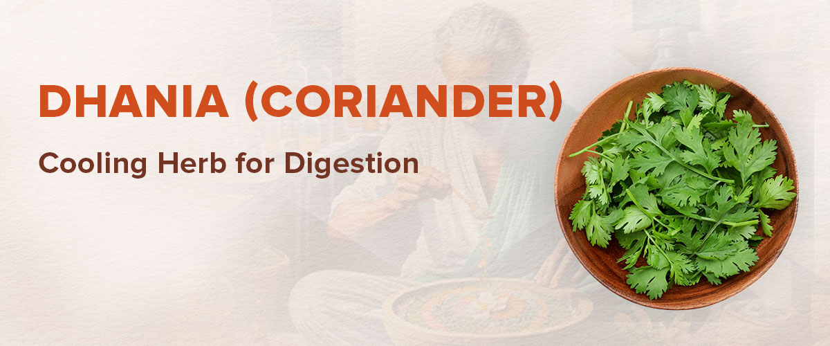 Dhania (Coriander): Benefits, Uses, and Healing Properties Dhania (Coriander): Benefits, Uses, and Healing Properties